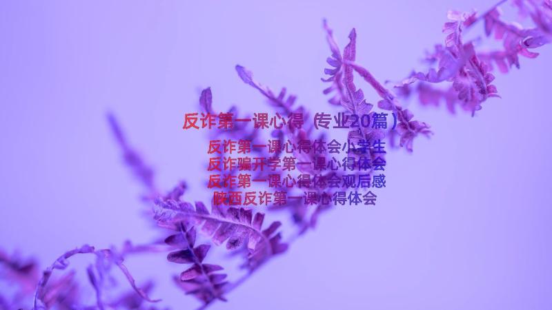 反诈第一课心得（专业20篇）