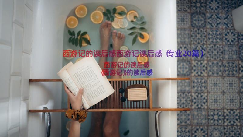 西游记的读后感西游记读后感（专业20篇）