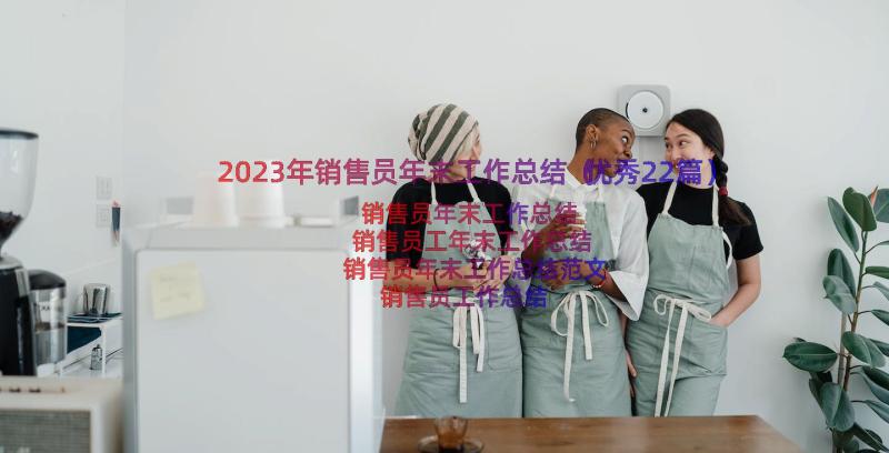 2023年销售员年末工作总结（优秀22篇）