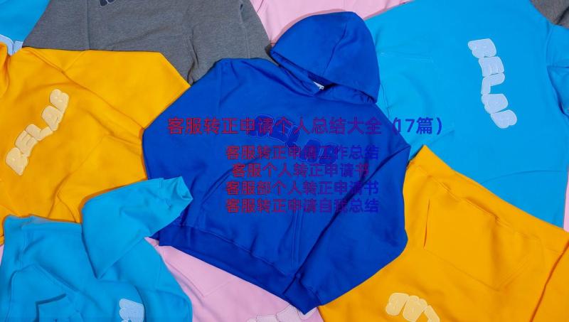 客服转正申请个人总结大全（17篇）