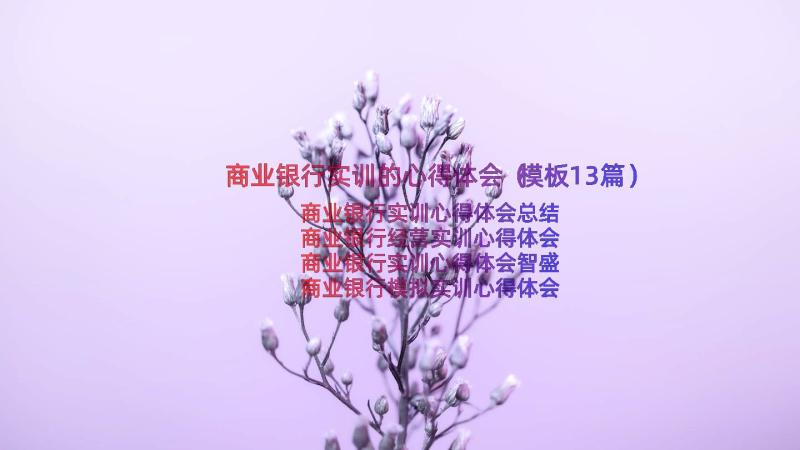 商业银行实训的心得体会（模板13篇）