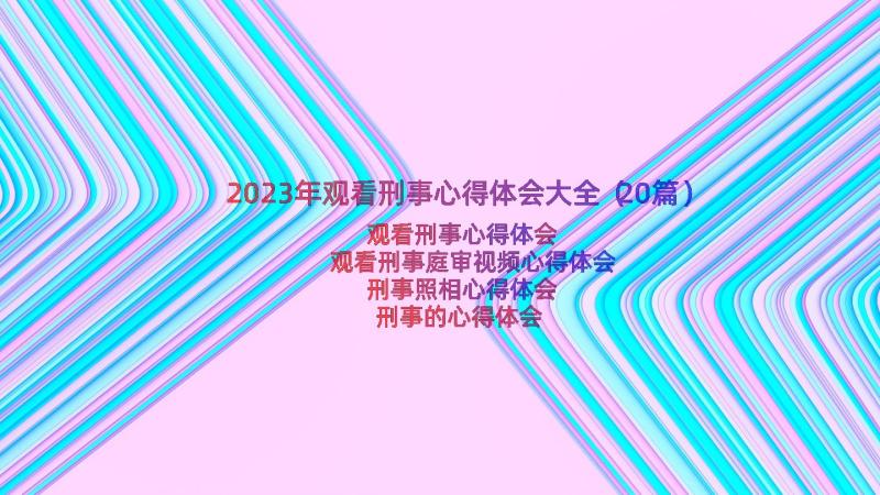 2023年观看刑事心得体会大全（20篇）