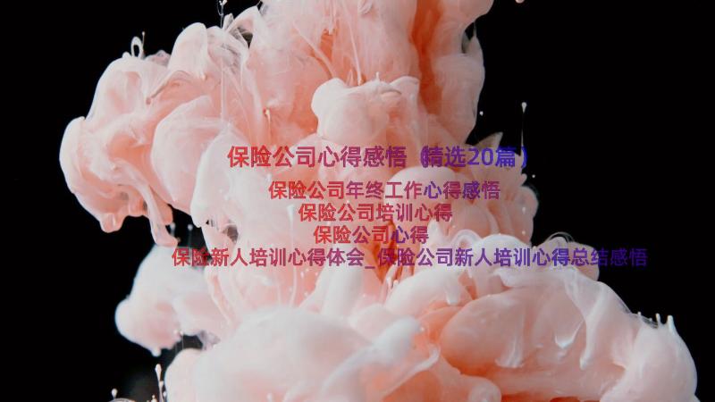 保险公司心得感悟（精选20篇）