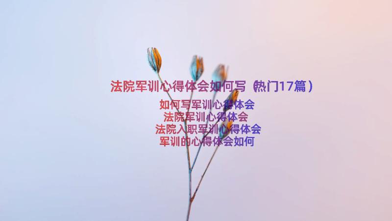 法院军训心得体会如何写（热门17篇）