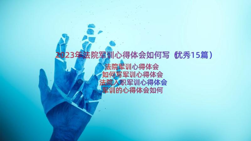 2023年法院军训心得体会如何写（优秀15篇）