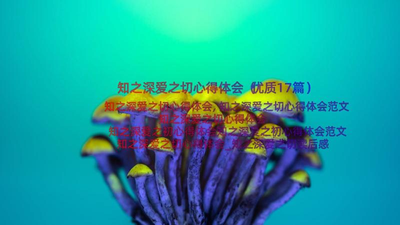 知之深爱之切心得体会（优质17篇）