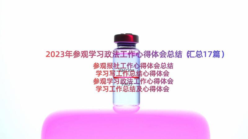 2023年参观学习政法工作心得体会总结（汇总17篇）