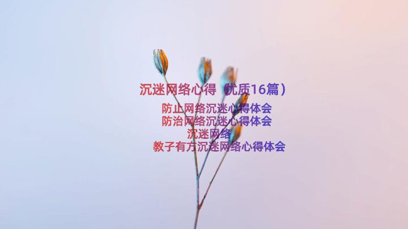 沉迷网络心得（优质16篇）