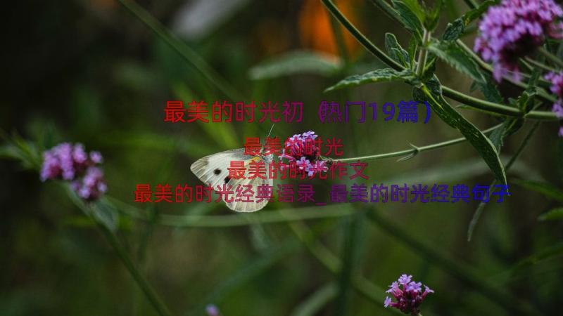 最美的时光初（热门19篇）