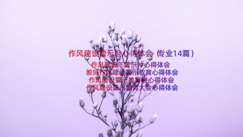 作风建设警示会心得体会（专业14篇）