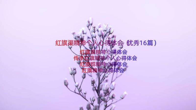 红旗渠精神个人心得体会（优秀16篇）