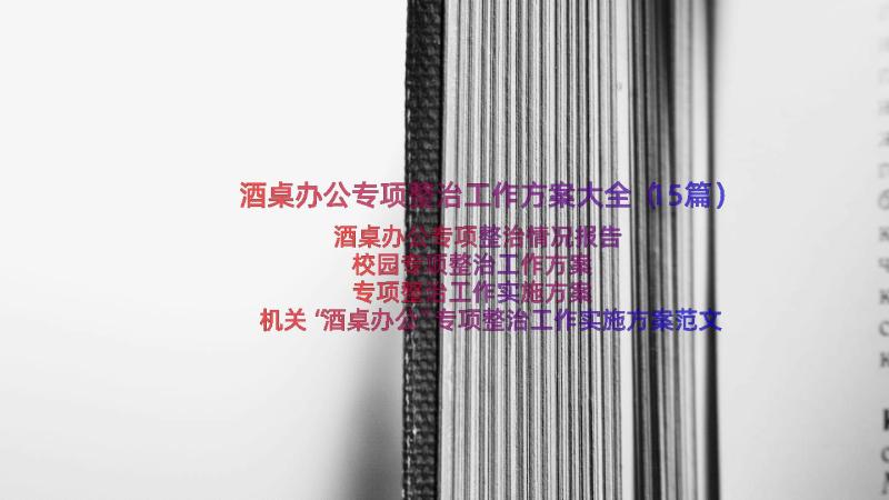 酒桌办公专项整治工作方案大全（15篇）