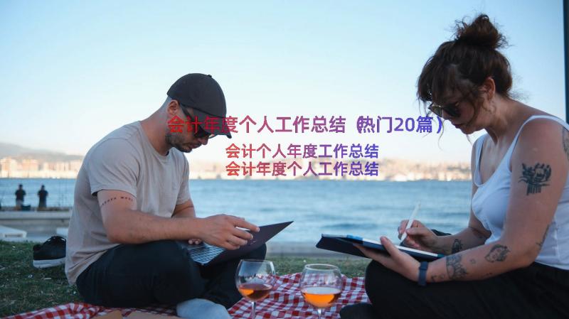 会计年度个人工作总结（热门20篇）