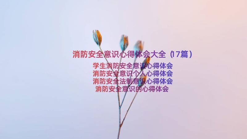 消防安全意识心得体会大全（17篇）