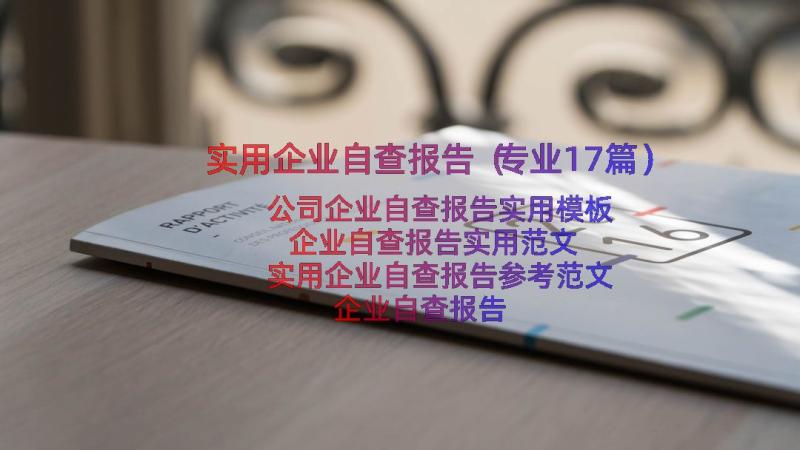 实用企业自查报告（专业17篇）