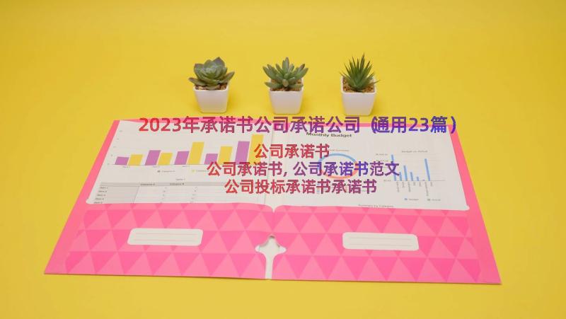 2023年承诺书公司承诺公司（通用23篇）