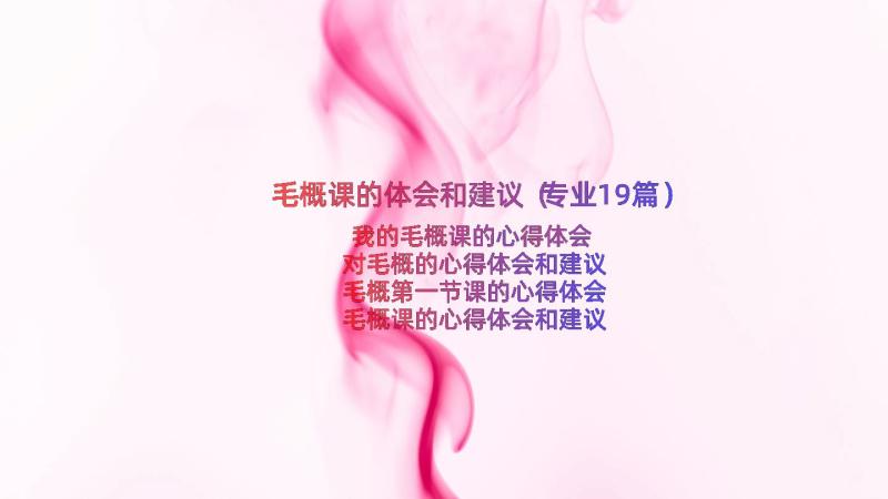 毛概课的体会和建议（专业19篇）