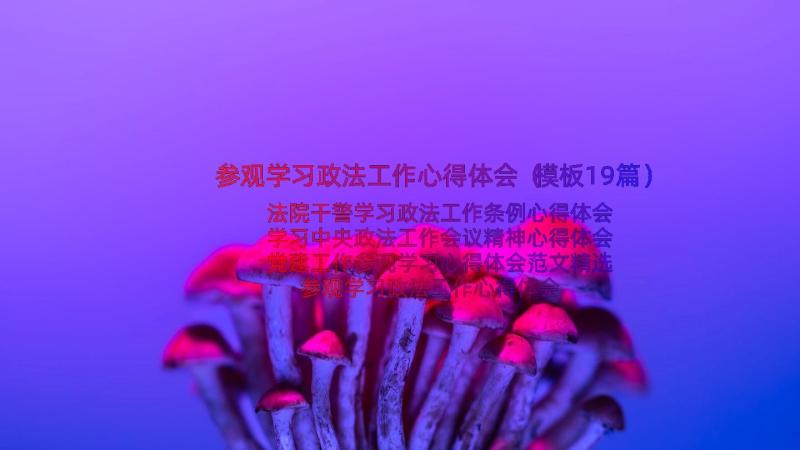 参观学习政法工作心得体会（模板19篇）