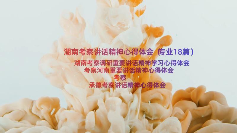 湖南考察讲话精神心得体会（专业18篇）