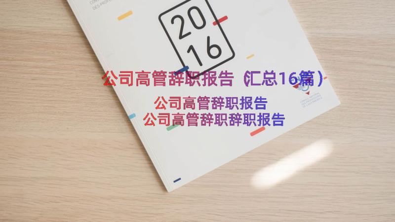 公司高管辞职报告（汇总16篇）