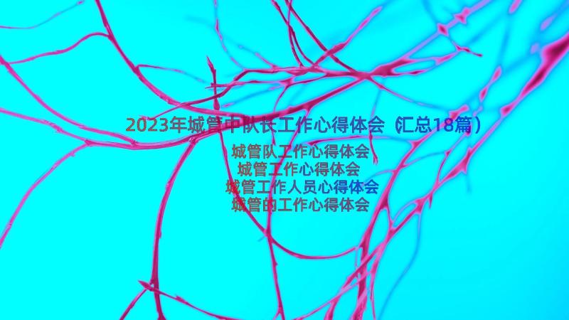 2023年城管中队长工作心得体会（汇总18篇）