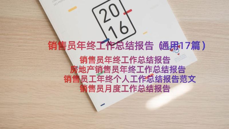 销售员年终工作总结报告（通用17篇）