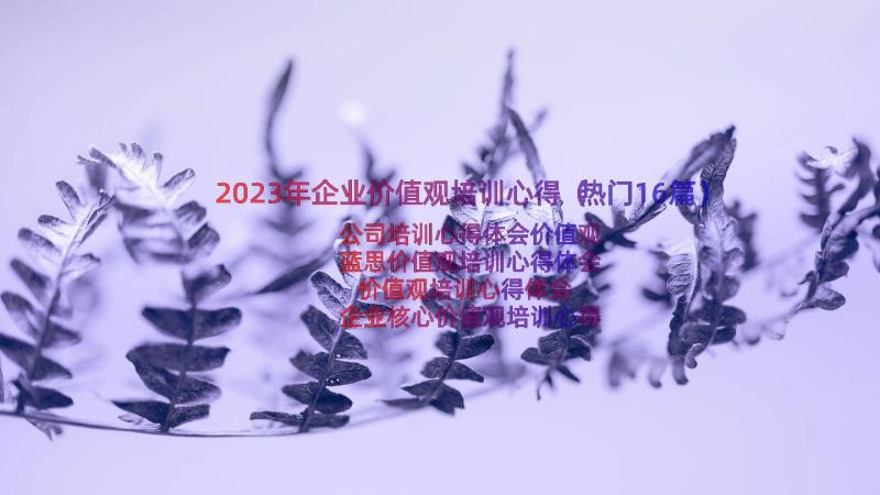 2023年企业价值观培训心得（热门16篇）