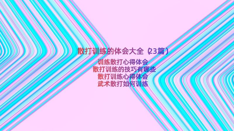 散打训练的体会大全（23篇）