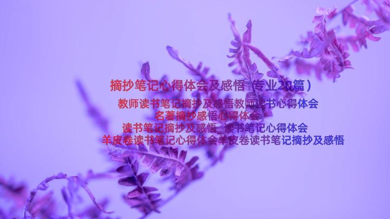 摘抄笔记心得体会及感悟（专业20篇）