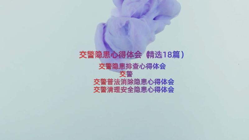 交警隐患心得体会（精选18篇）