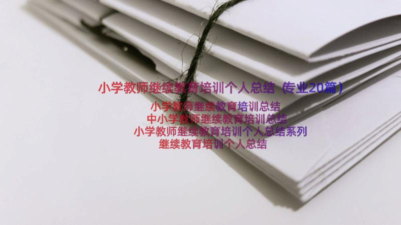 小学教师继续教育培训个人总结（专业20篇）