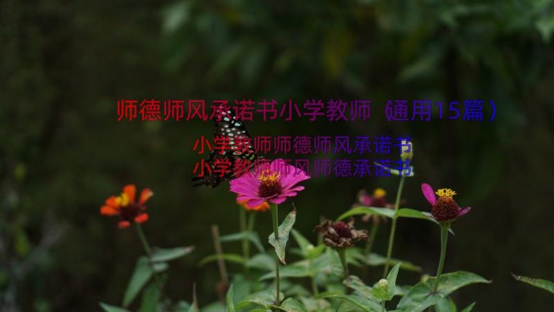 师德师风承诺书小学教师（通用15篇）