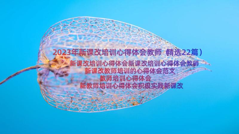 2023年新课改培训心得体会教师（精选22篇）