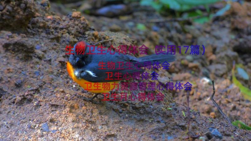 生物卫生心得体会（实用17篇）