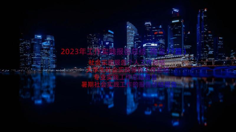 2023年工作实践报告总结（专业17篇）