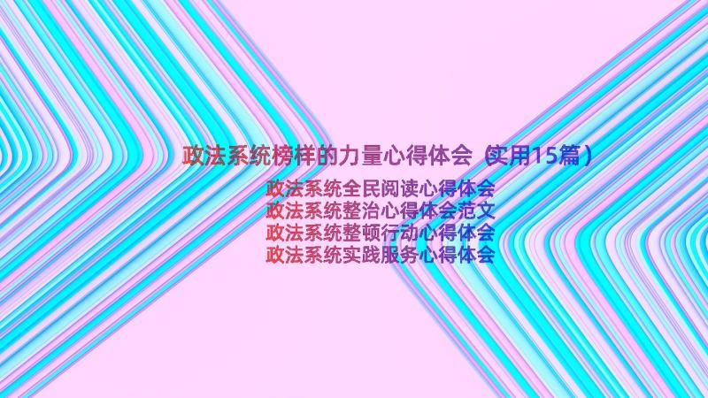 政法系统榜样的力量心得体会（实用15篇）