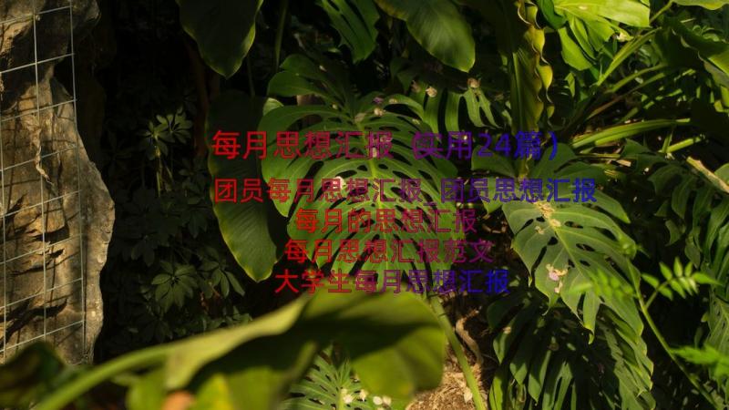 每月思想汇报（实用24篇）