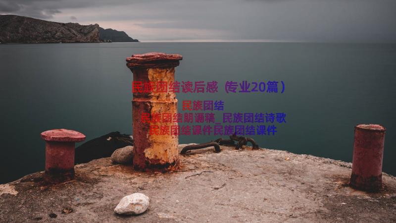 民族团结读后感（专业20篇）