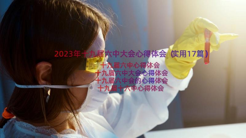 2023年十九届六中大会心得体会（实用17篇）