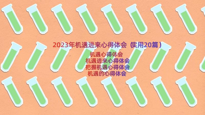 2023年机遇进来心得体会（实用20篇）