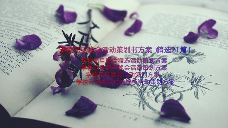 学校元旦晚会活动策划书方案（精选21篇）