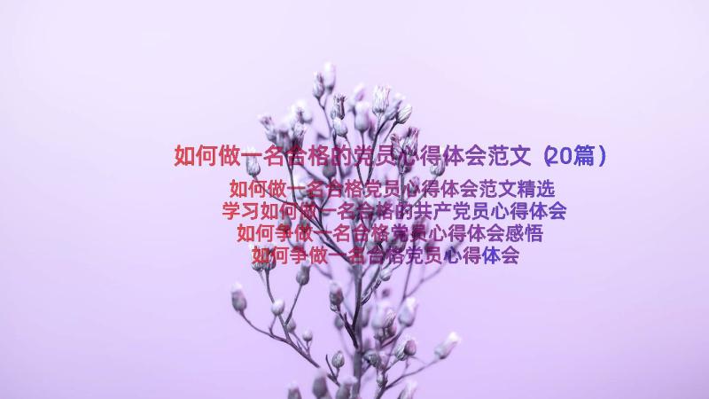 如何做一名合格的党员心得体会范文（20篇）