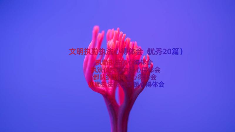 文明执勤执法心得体会（优秀20篇）