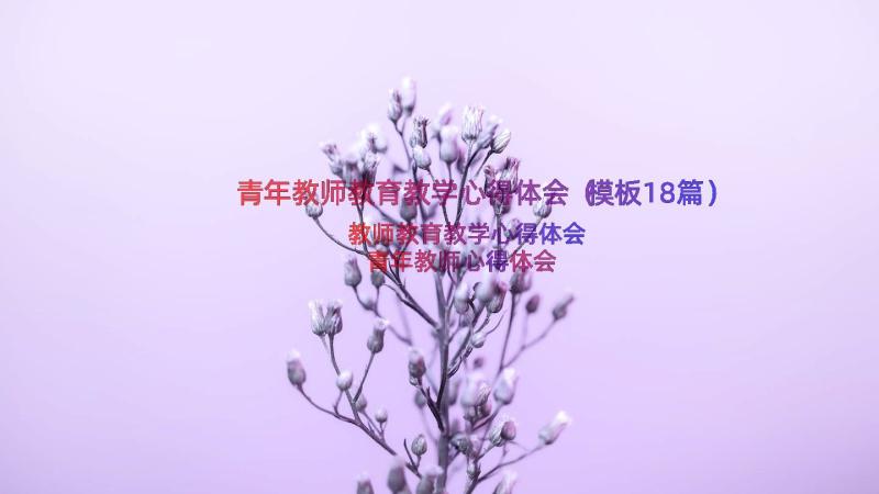 青年教师教育教学心得体会（模板18篇）