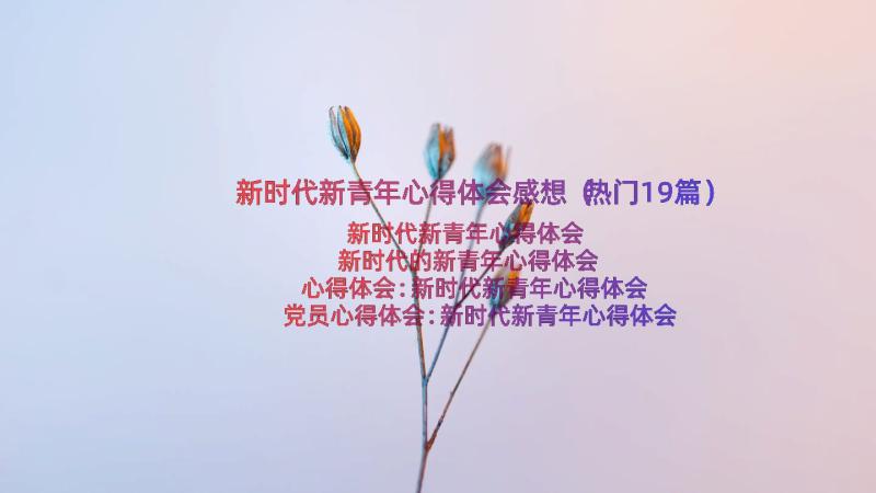 新时代新青年心得体会感想（热门19篇）