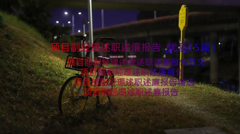 项目副经理述职述廉报告（优质15篇）