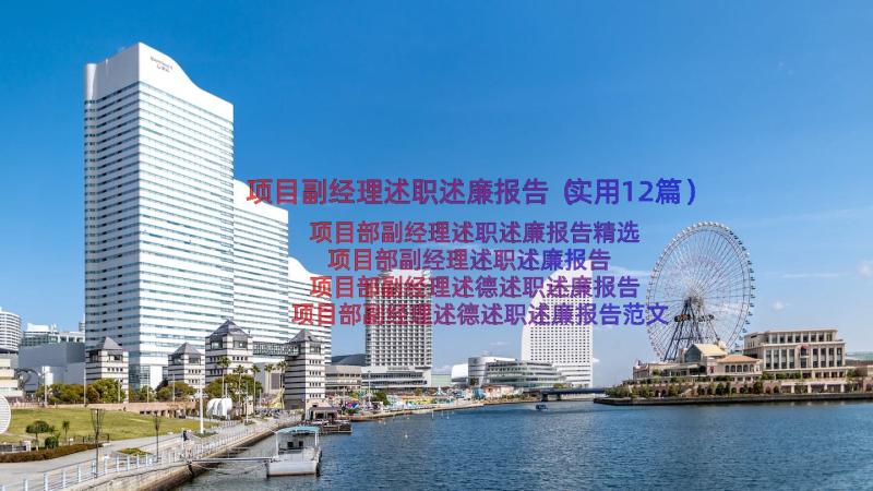 项目副经理述职述廉报告（实用12篇）