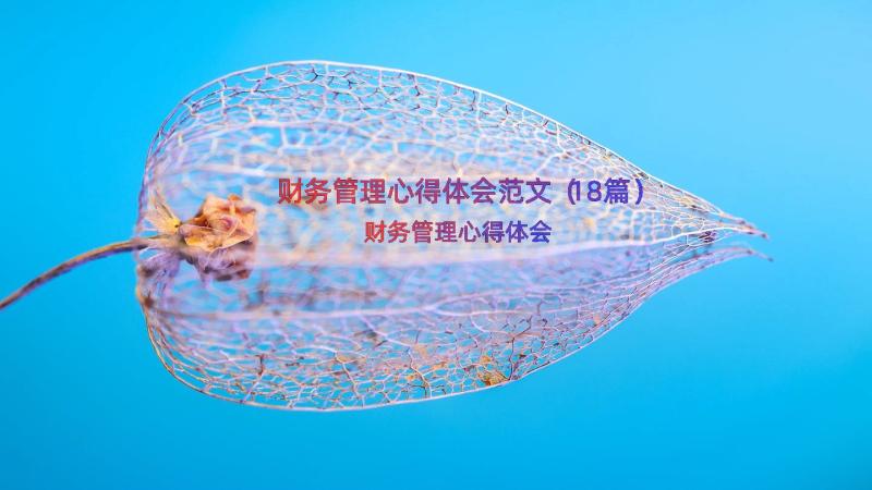 财务管理心得体会范文（18篇）