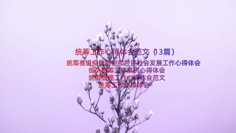 统筹工作心得体会范文（13篇）