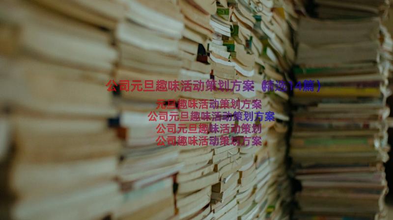 公司元旦趣味活动策划方案（精选14篇）